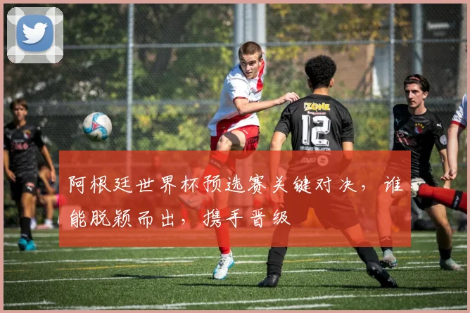 阿根廷世界杯预选赛关键对决，谁能脱颖而出，携手晋级
