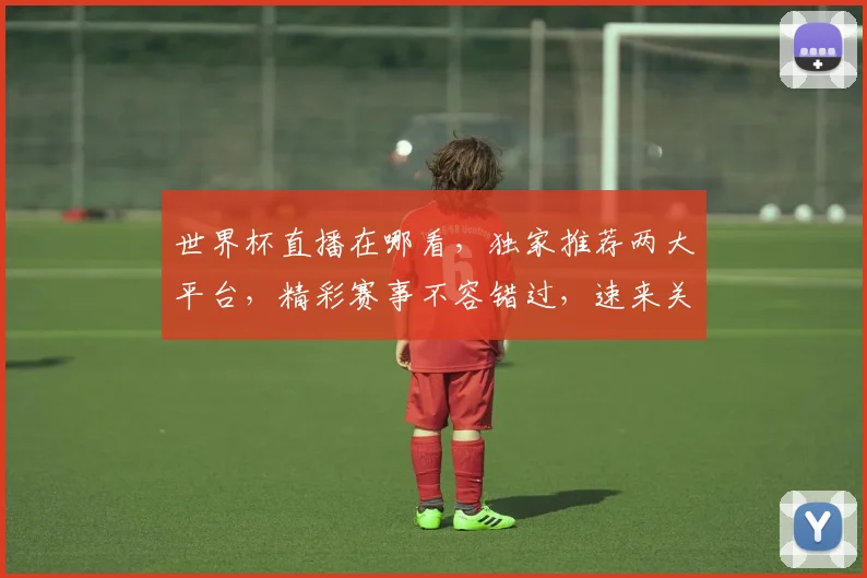 世界杯直播在哪看，独家推荐两大平台，精彩赛事不容错过，速来关注