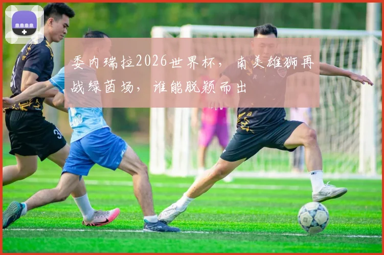 委内瑞拉2026世界杯，南美雄狮再战绿茵场，谁能脱颖而出