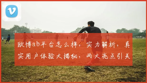 欧博ab平台怎么样，实力解析，真实用户体验大揭秘，两大亮点引关注